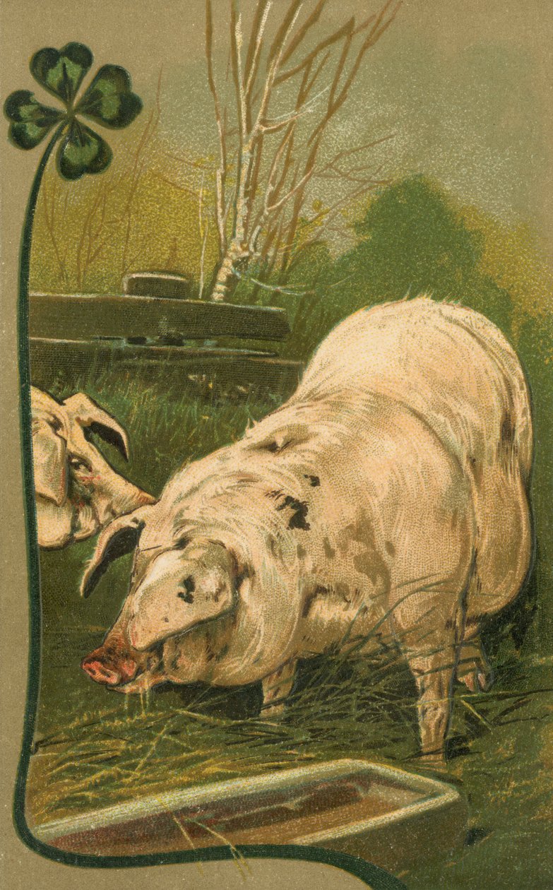 Un cerdo en trébol (litografía en color) de European School