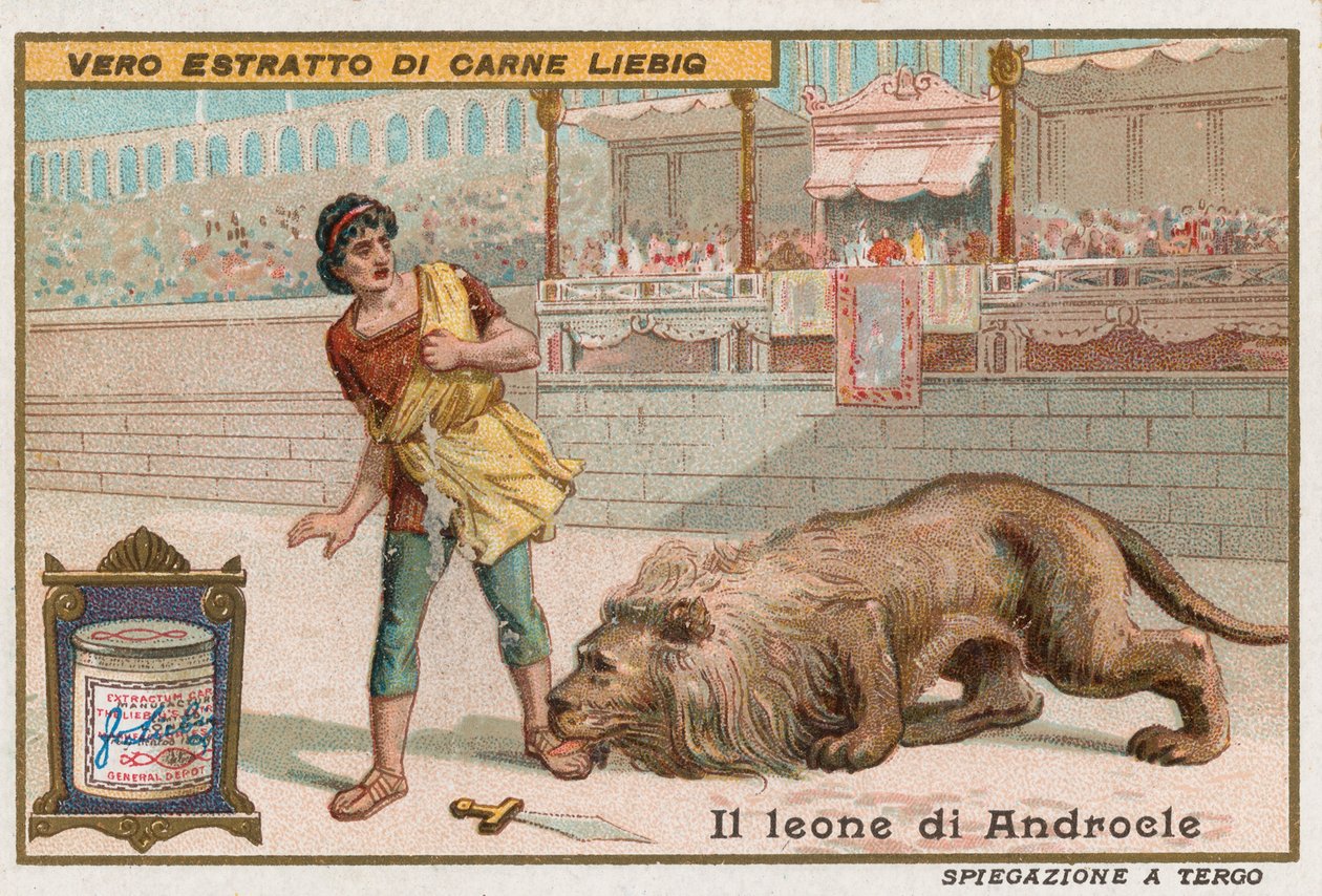 Androcles y el león de European School