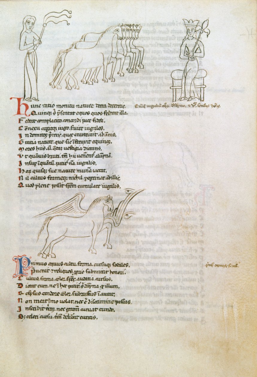 Bestiario: el caballo de European School