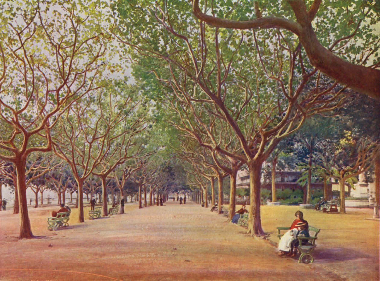 Cannes, Les Allees (litografía en color) de European School
