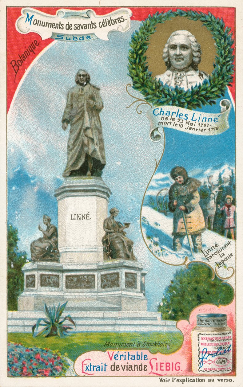 Carl Linnaeus, tarjeta Liebig, principios del siglo XX (cromo) de European School