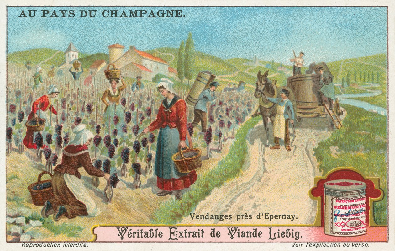 Champaña, tarjeta Liebig, principios del siglo XX (cromo) de European School