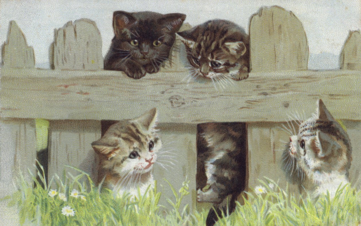 Cuatro gatitos junto a una valla (cromolito) de European School