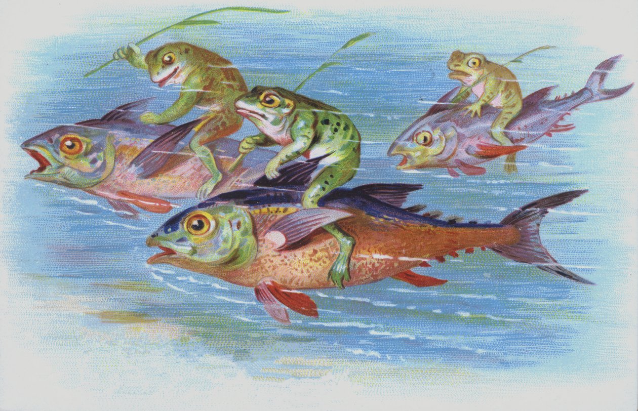 Ranas que montan peces (cromolito) de European School