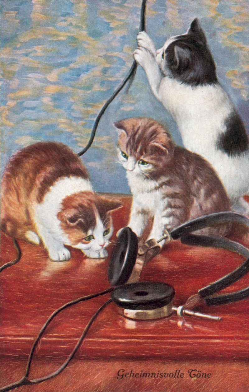 Postal humorística de gatos (litografía en color) de European School