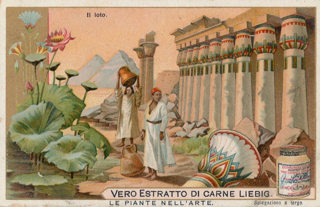 Plantas en el arte, tarjeta Liebig, principios del siglo XX (cromo) de European School