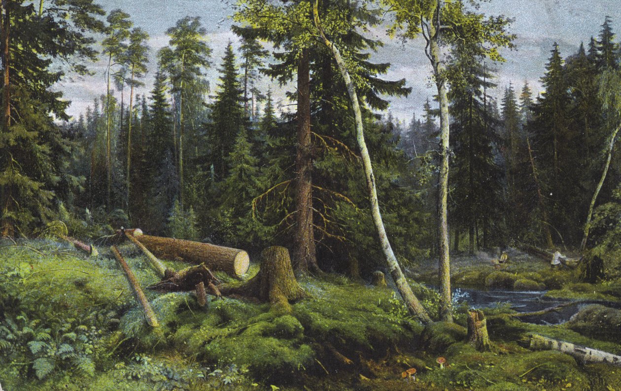 Escena en un bosque con árboles talados (litografía en color) de European School