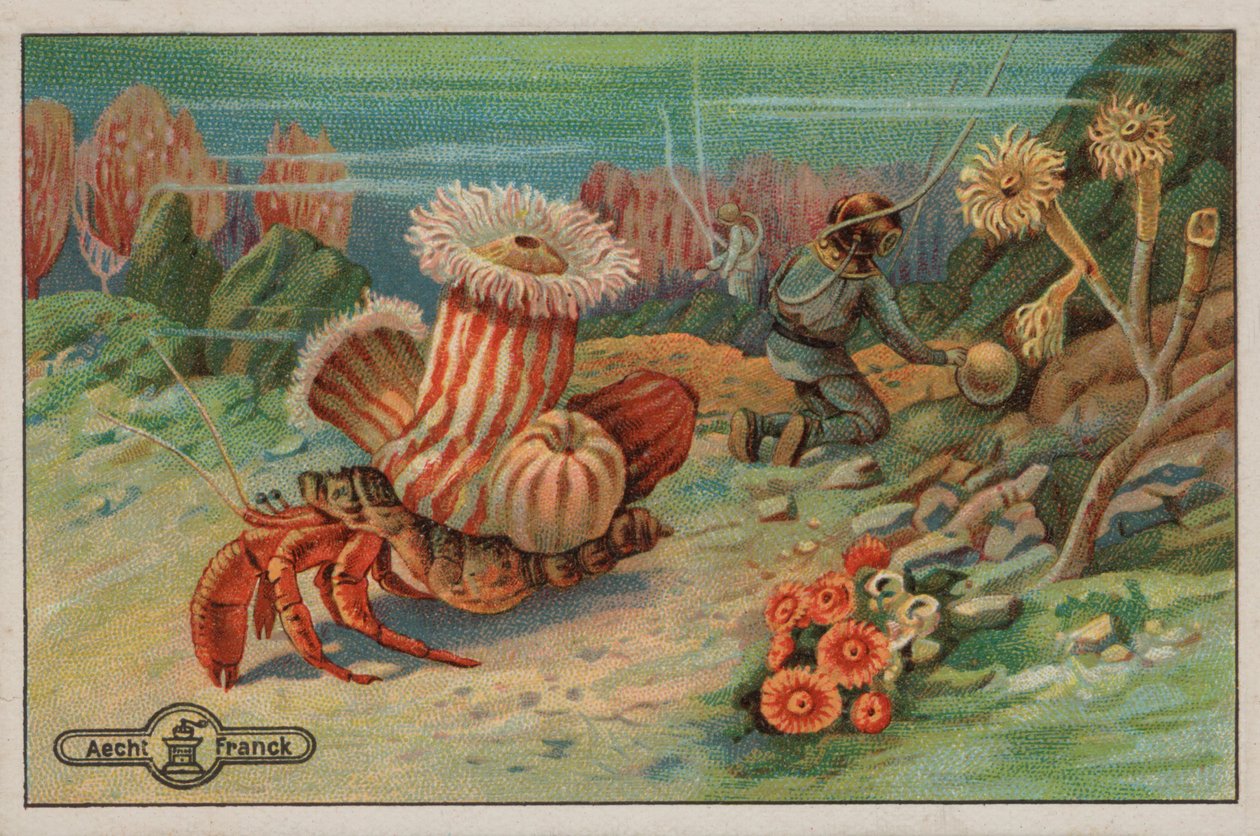 Escena en el fondo del mar (cromolito) de European School