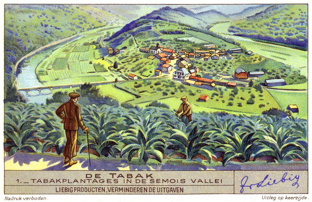 Plantación de tabaco en el valle del Semois, Bélgica (cromolito) de European School