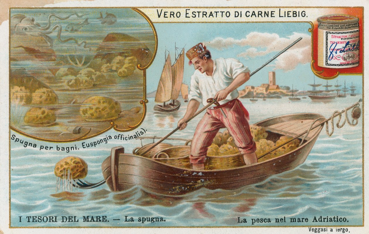 Tesoros del mar, tarjeta Liebig, principios del siglo XX (cromo) de European School
