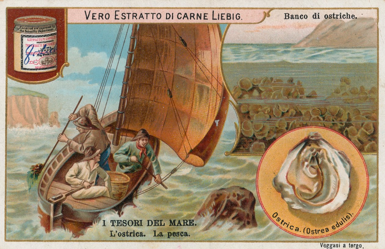 Tesoros del mar, tarjeta Liebig, principios del siglo XX (cromo) de European School