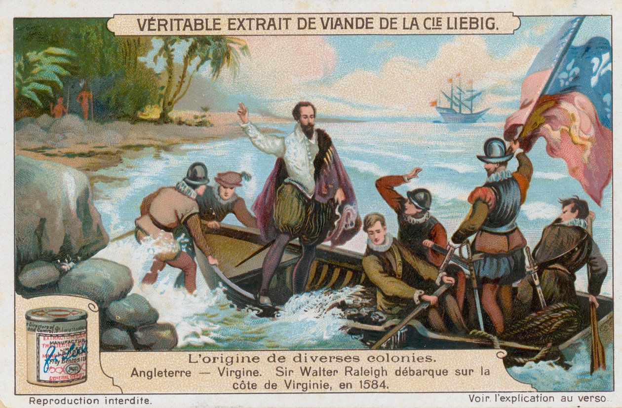 Virginia de European School