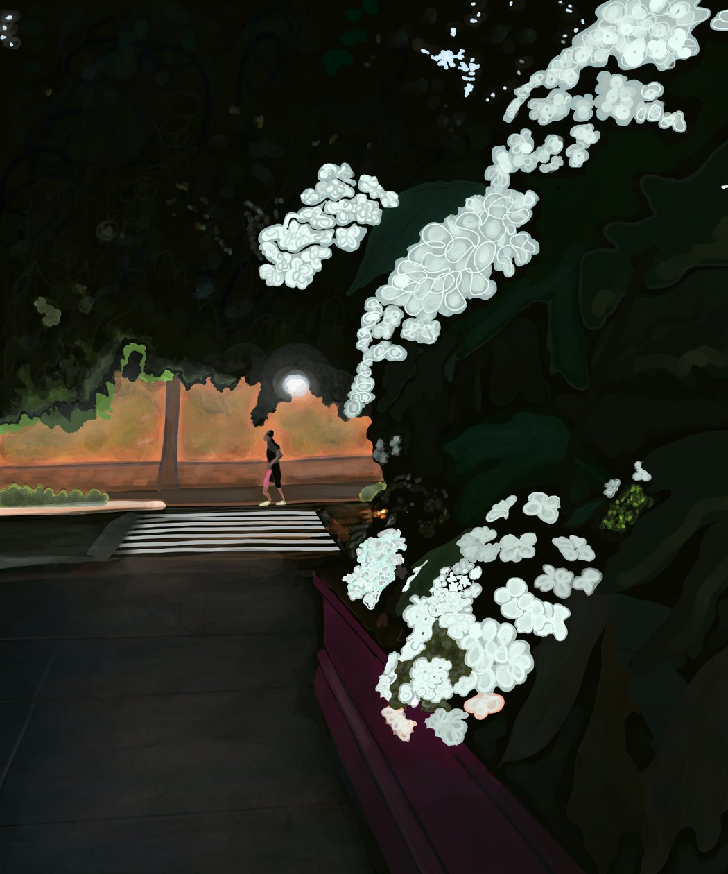 6 de la mañana. Mañana lluviosa y corredor. Prospect park west (arte digital) de Evan Sklar