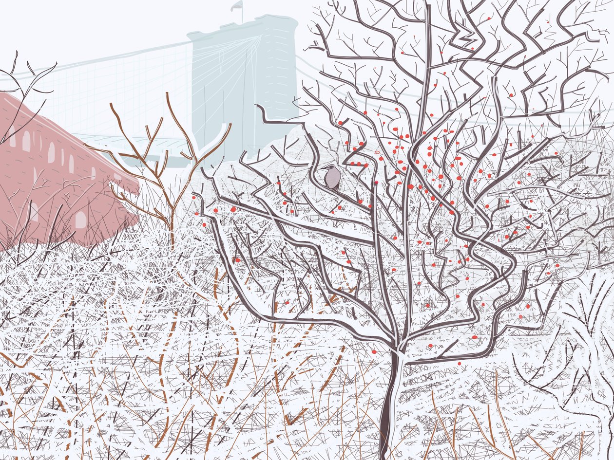 Pájaro en la nieve, Brooklyn Bridge Park (arte digital) de Evan Sklar