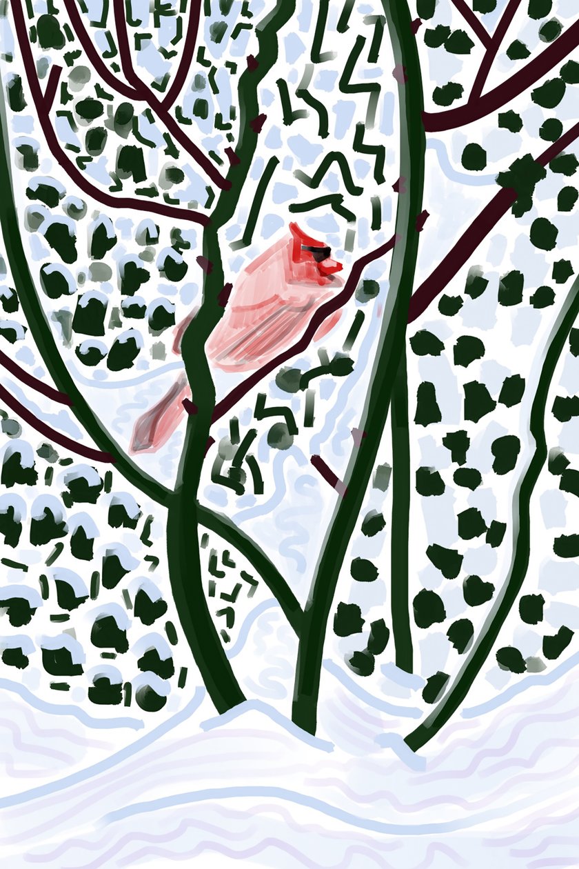 Cardenal en la nieve (arte digital) de Evan Sklar