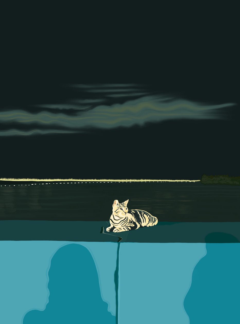 Gato en la pared, Ciudad de Panamá, c.2020-24 (arte digital) de Evan Sklar