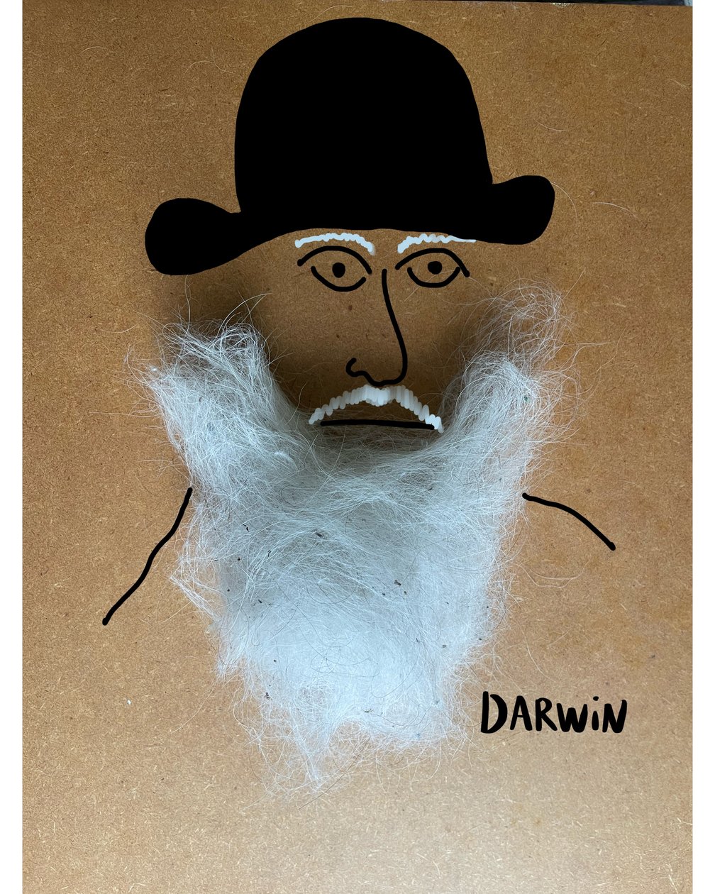 Charles Darwin de Evan Sklar