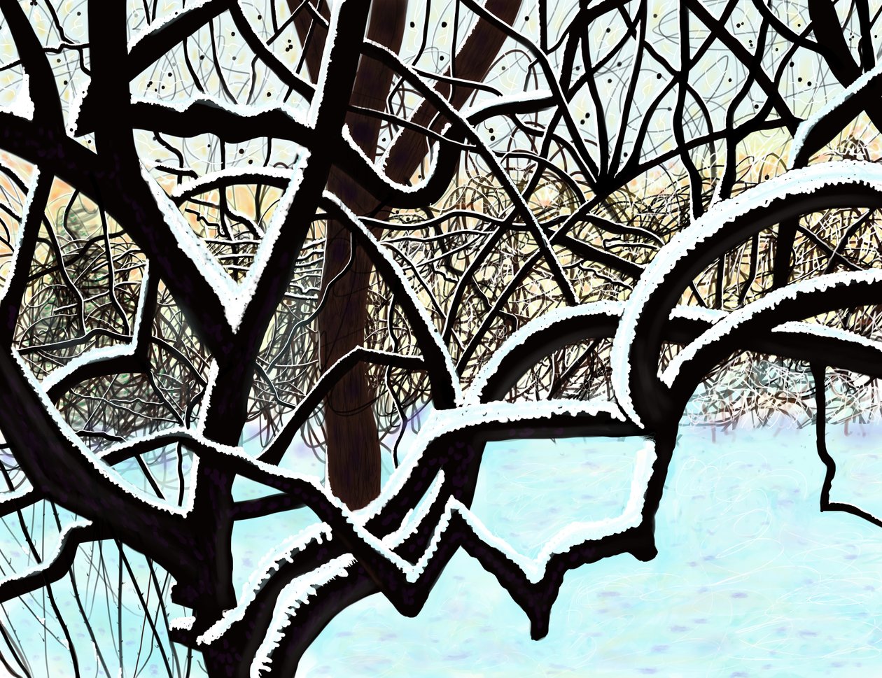 Cerezo en la nieve, Brooklyn (arte digital) de Evan Sklar