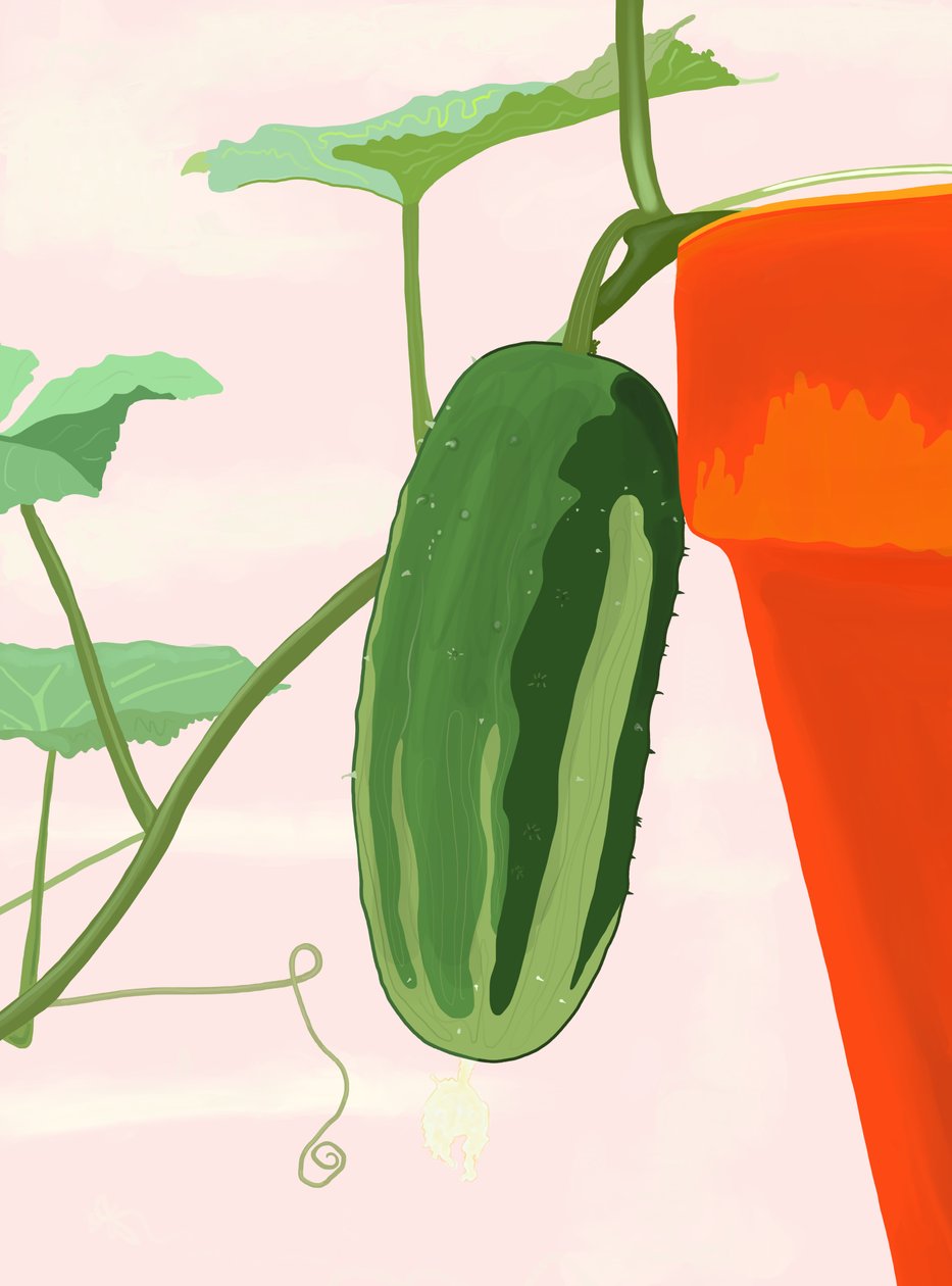 Pepino en maceta, Brooklyn (arte digital) de Evan Sklar