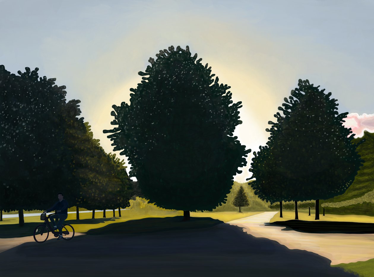 Ciclista, amanecer, Hyde Park (arte digital) de Evan Sklar