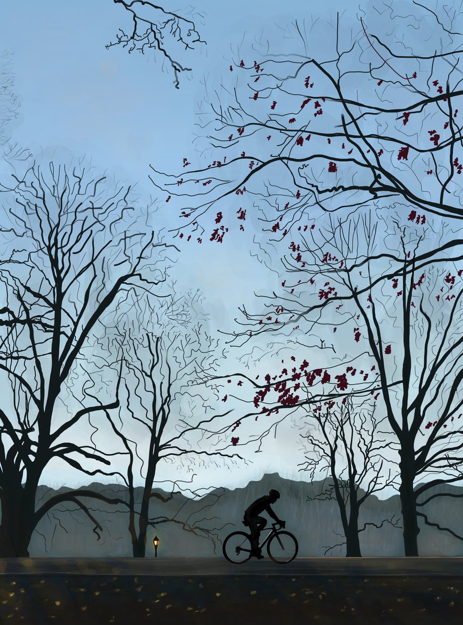 Ciclista, mañana, Prospect Park (arte digital) de Evan Sklar