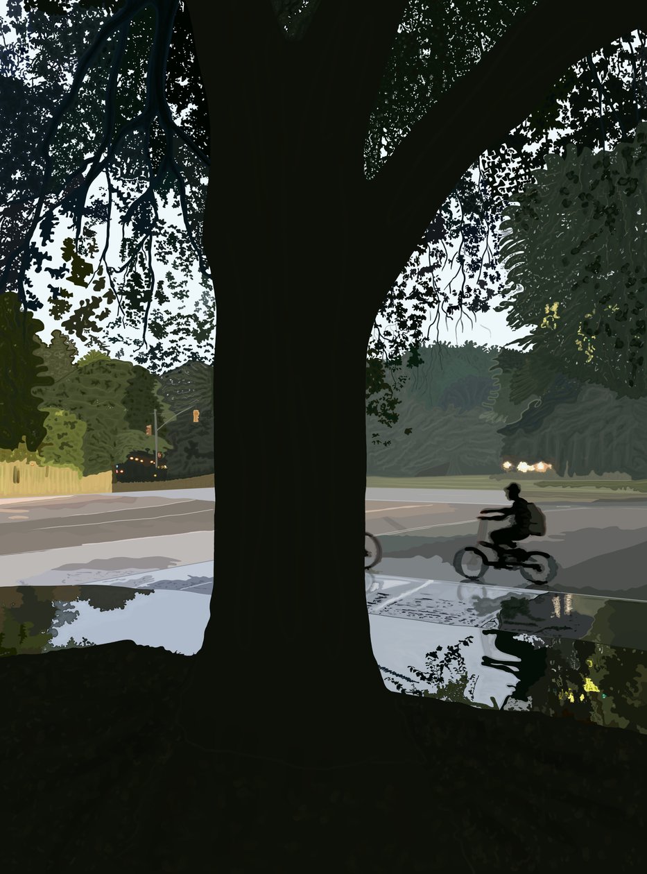 Ciclista y charco en la calle Brooklyn (arte digital) de Evan Sklar