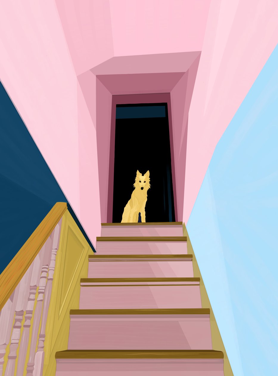 Perro en la escalera (arte digital) de Evan Sklar