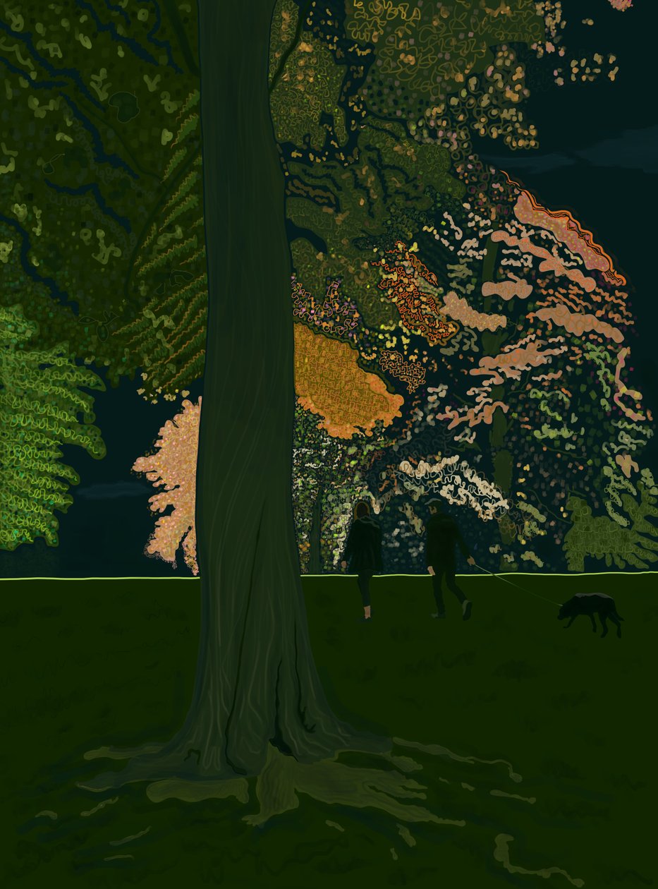 Paseo nocturno de perros (arte digital) de Evan Sklar