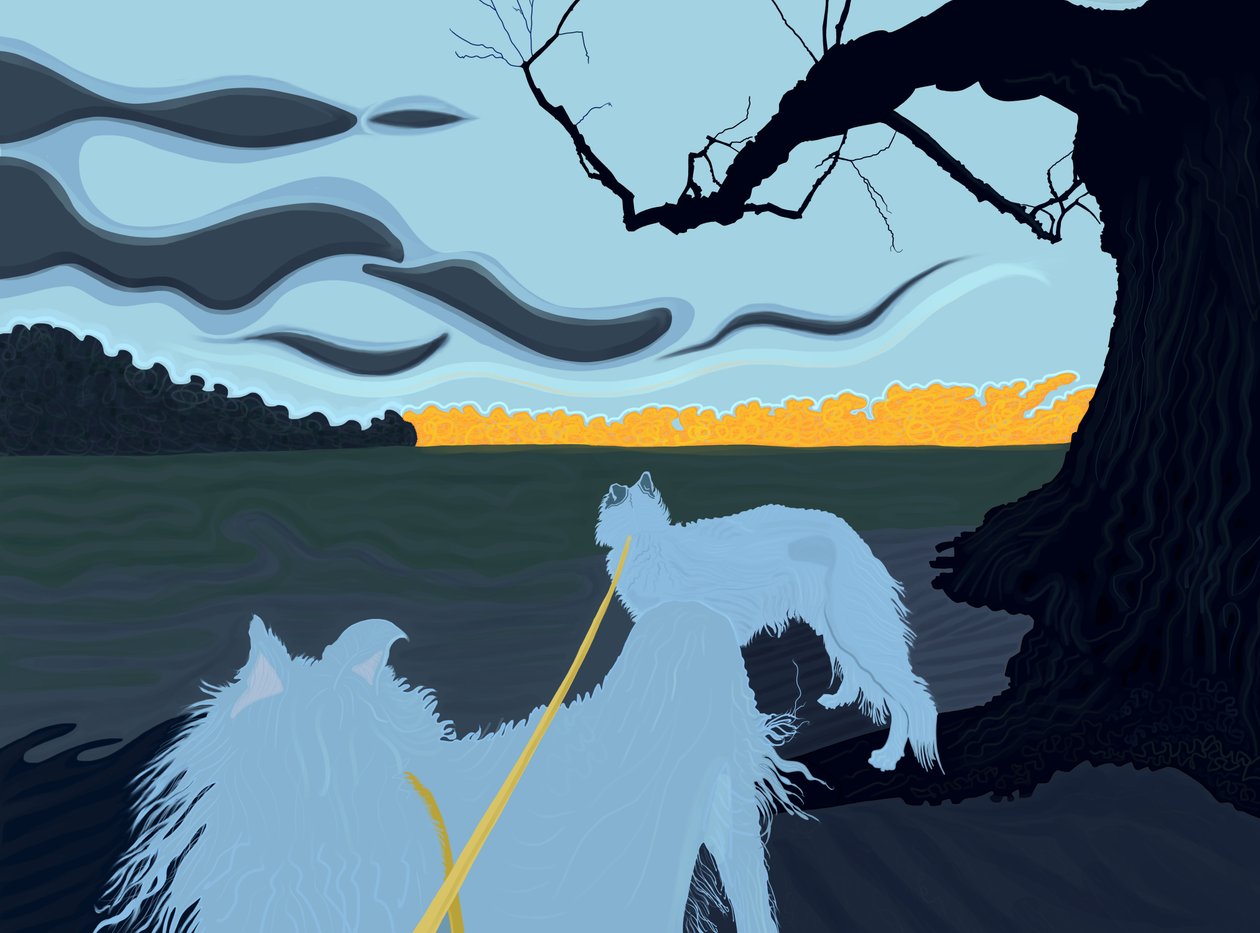 Perros a la sombra, Brooklyn (arte digital) de Evan Sklar