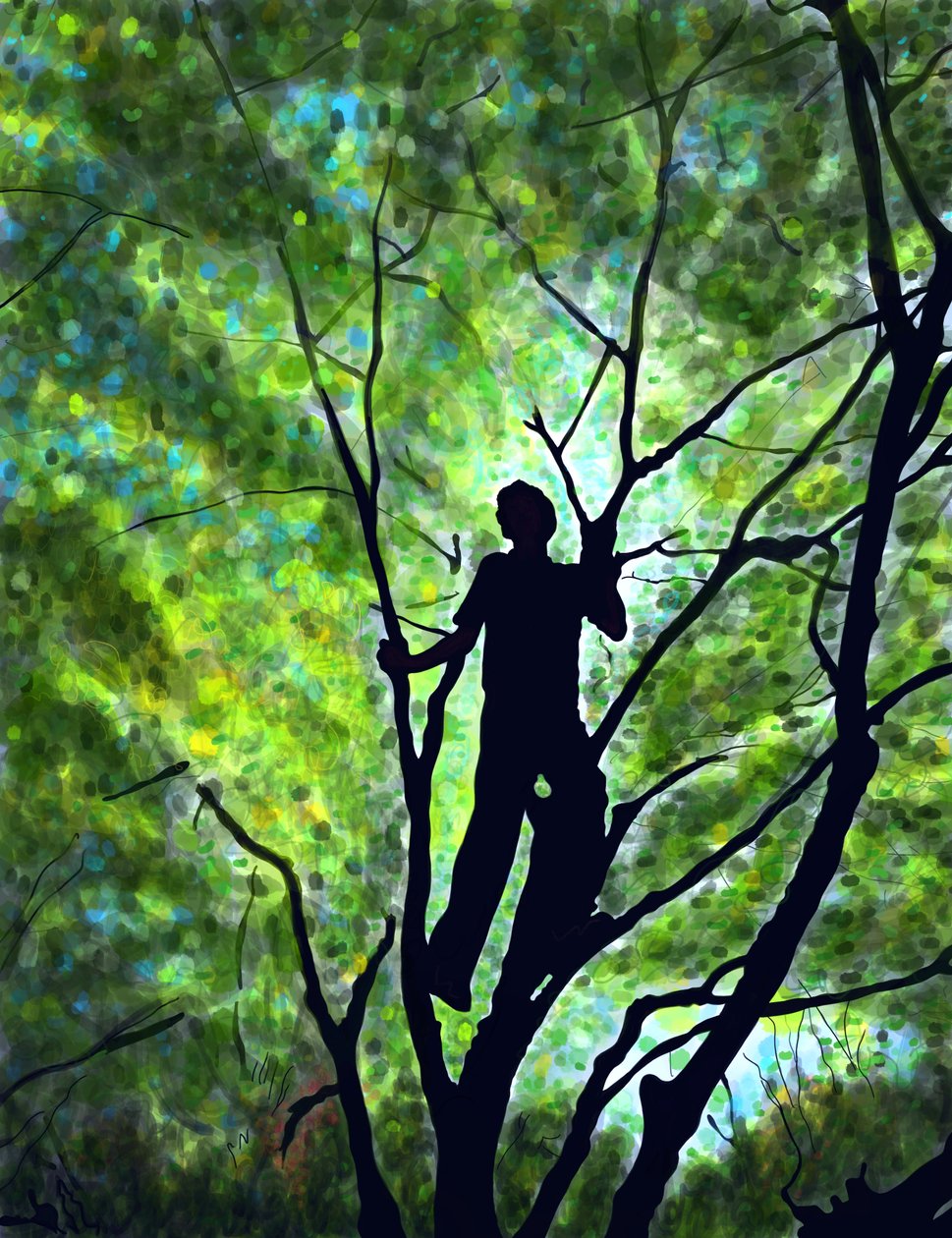 Emmitt In Treea, Brooklyn (arte digital) de Evan Sklar