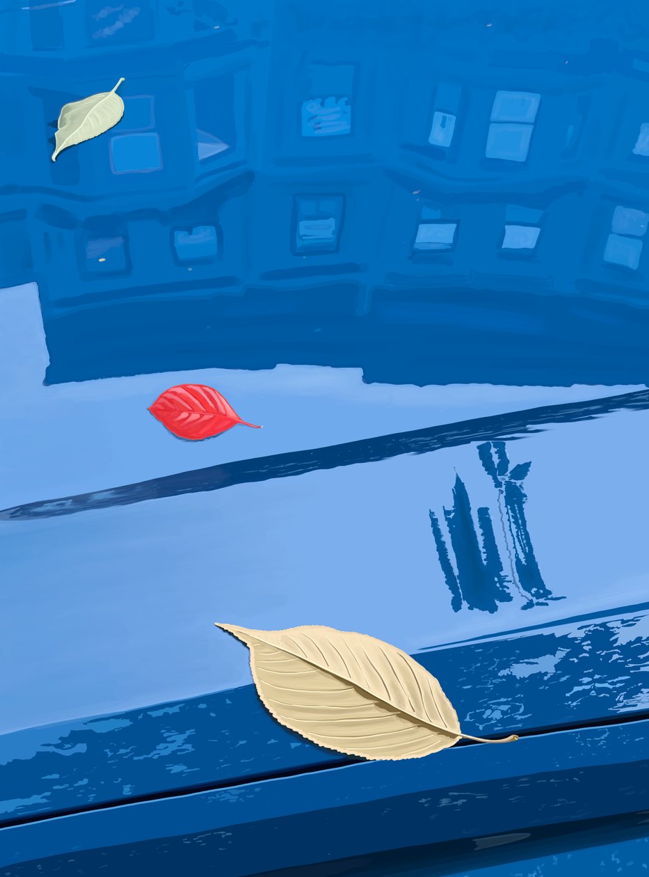 Hojas caídas sobre coche azul, Brooklyn (arte digital) de Evan Sklar
