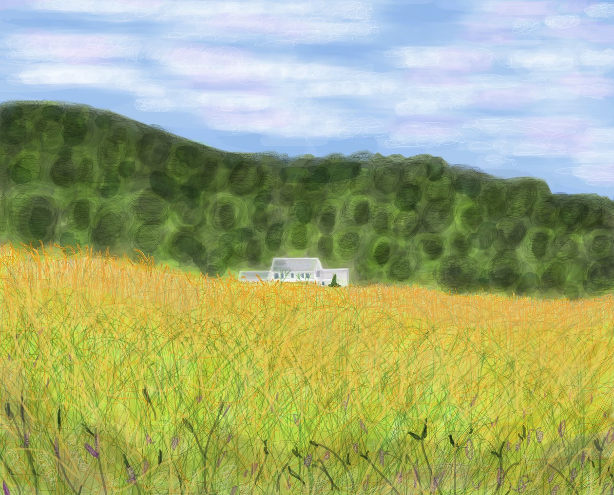 Campo y granja en Vermont, 2018 (dibujado a mano en un iPad con un lápiz de Apple) de Evan Sklar