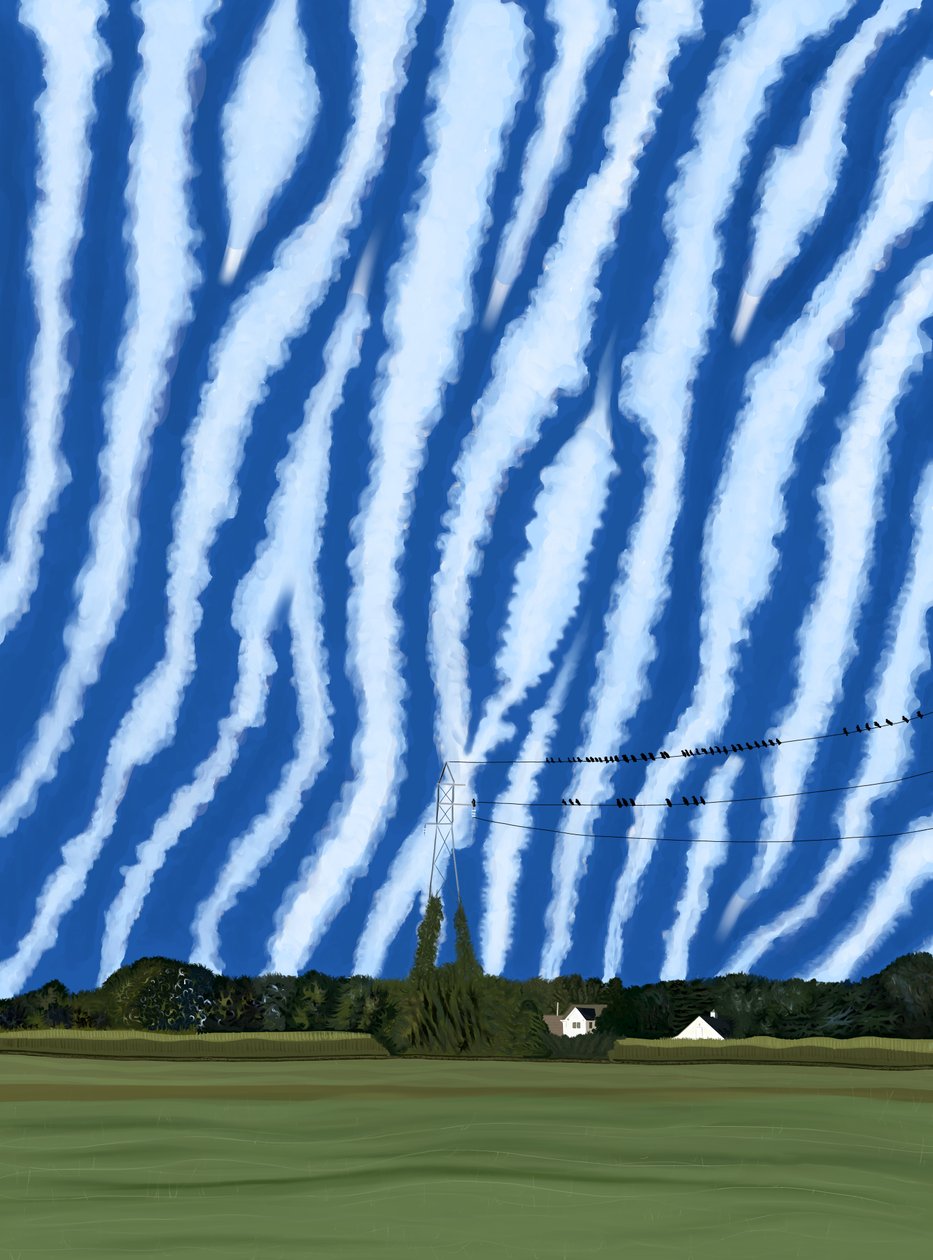 Campo y cables, North Fork, Long Island de Evan Sklar