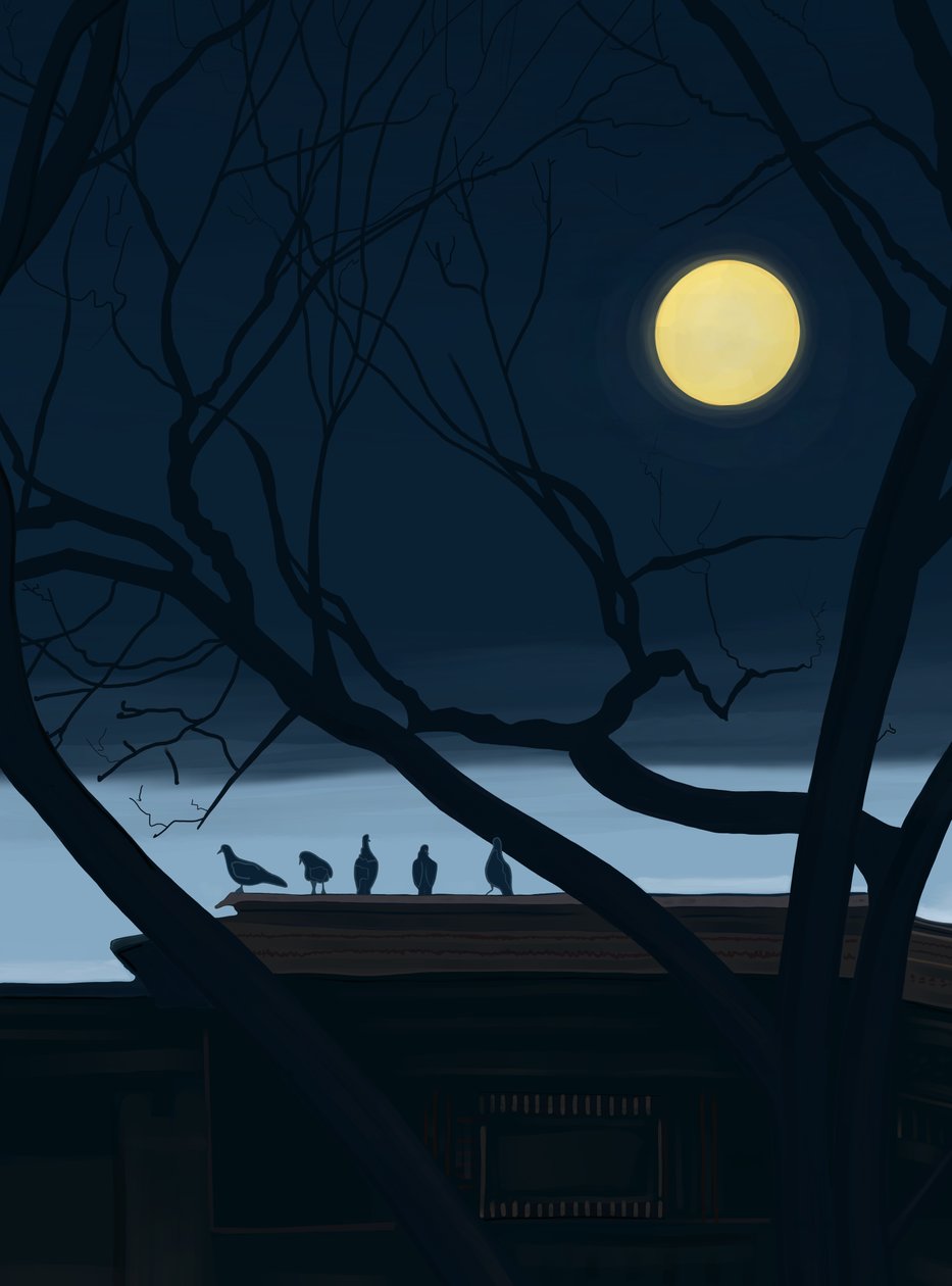 Cinco palomas en el tejado (arte digital) de Evan Sklar