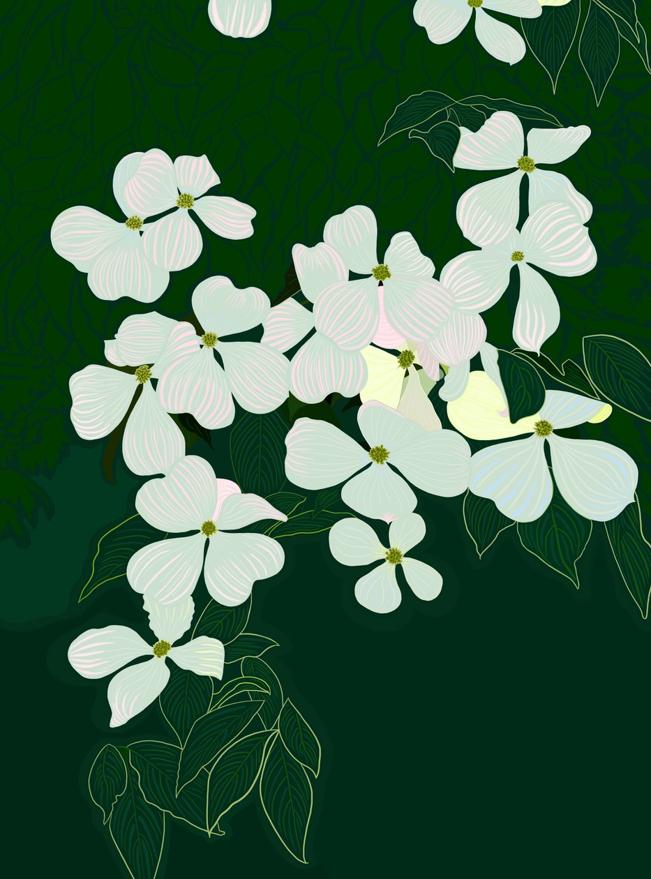 Cornejo en flor, c.2020-24 (arte digital) de Evan Sklar