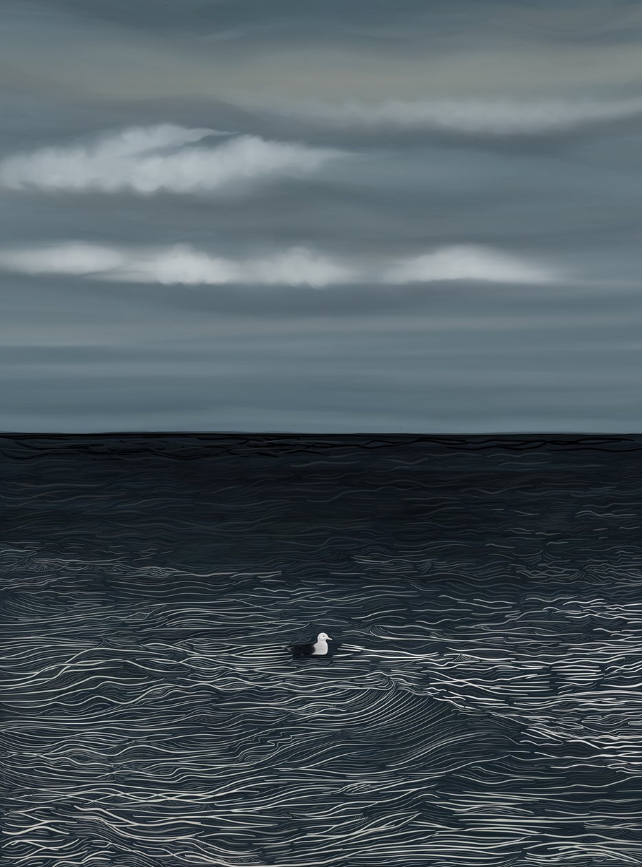 Gaviota flotando en el agua y cielo tormentoso (arte digital) de Evan Sklar