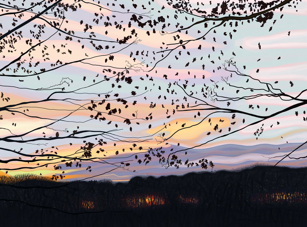 Hawk On Branch, prospect park (arte digital) de Evan Sklar