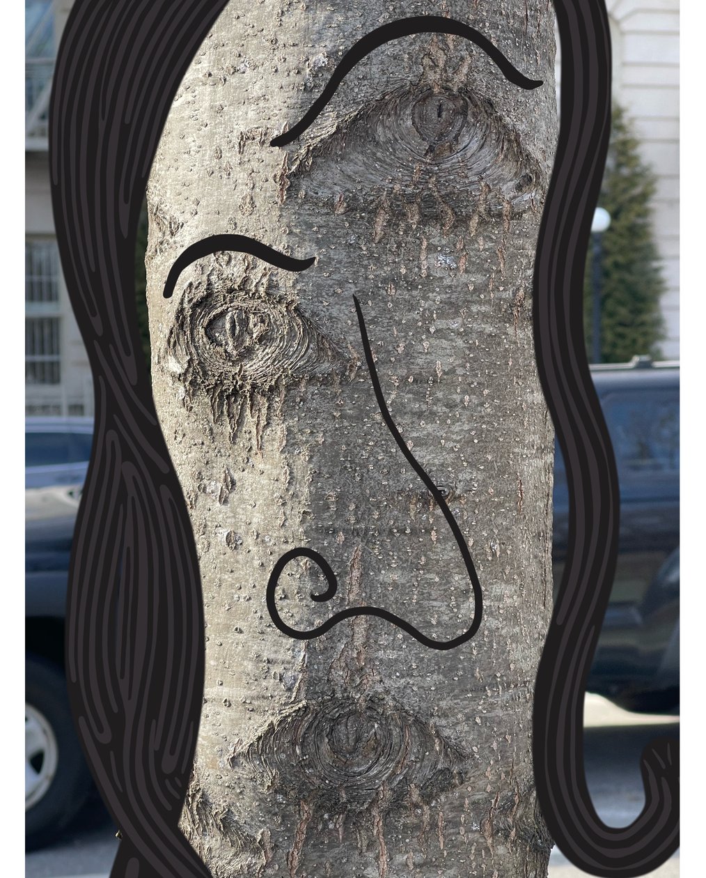 Ilustración de la cara de un árbol mediante fotografía y dibujoi Brooklyn (arte digital) de Evan Sklar
