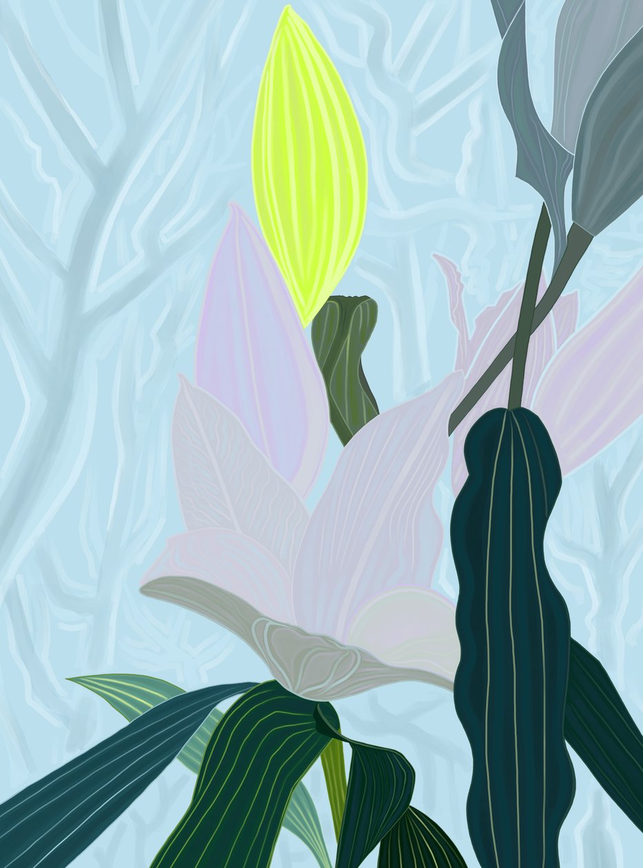 Lily (arte digital) de Evan Sklar