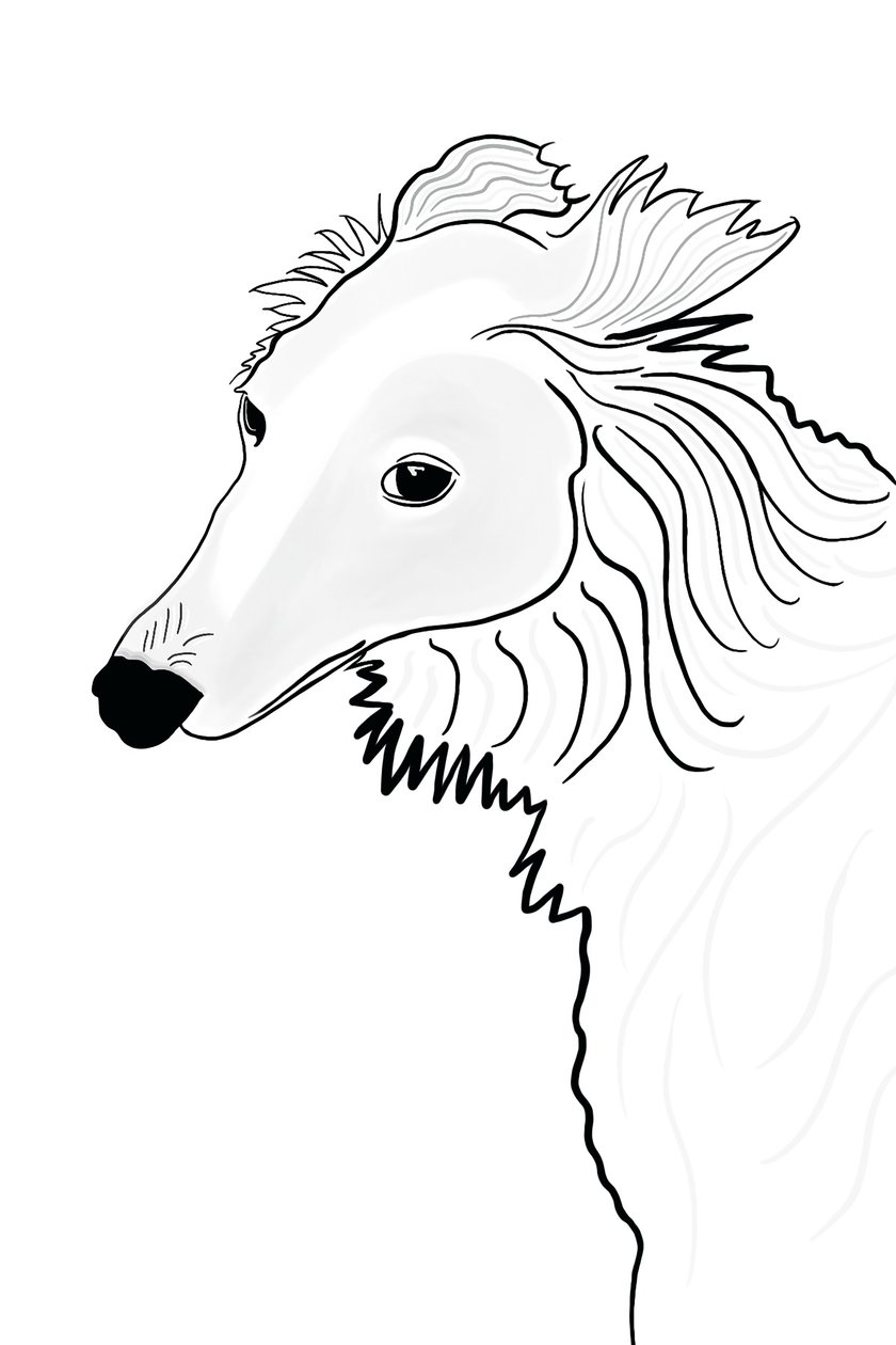 Dibujo lineal de Silken Windhound (arte digital) de Evan Sklar