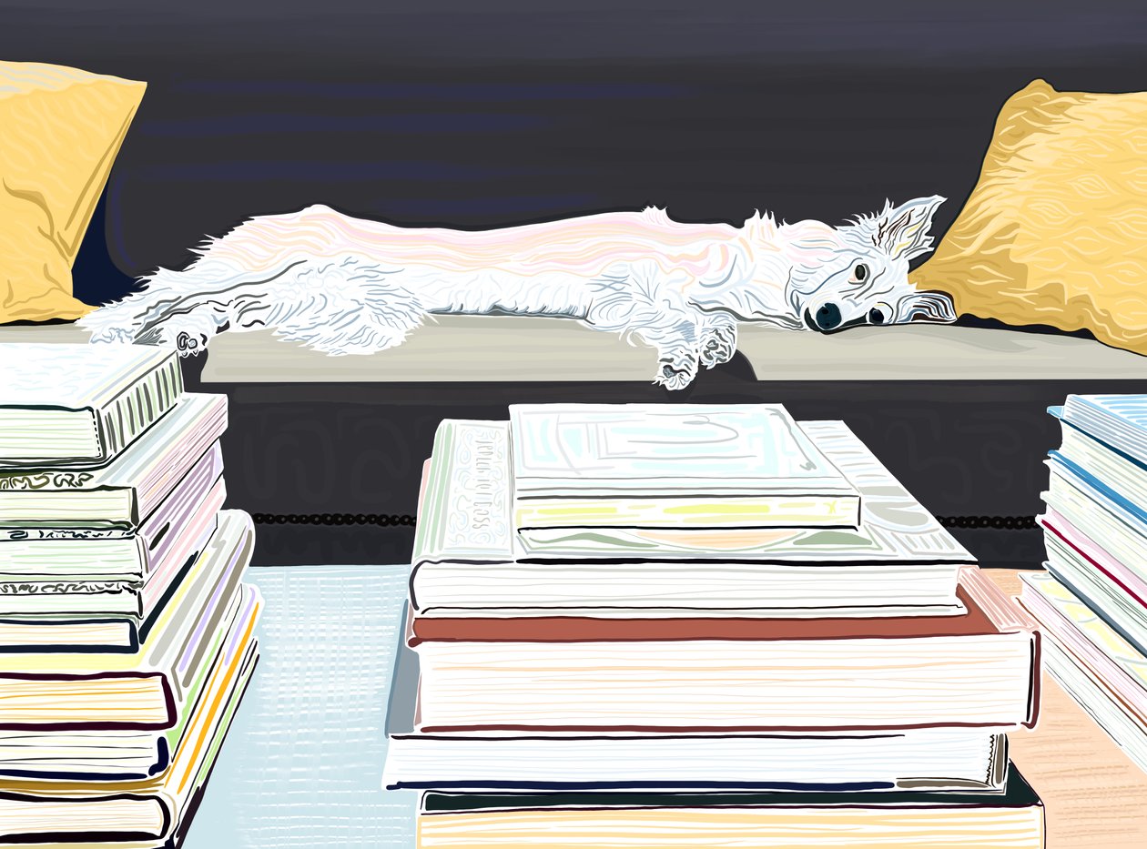 Minnie en el sofá con libros, c.2020-24 (arte digital) de Evan Sklar