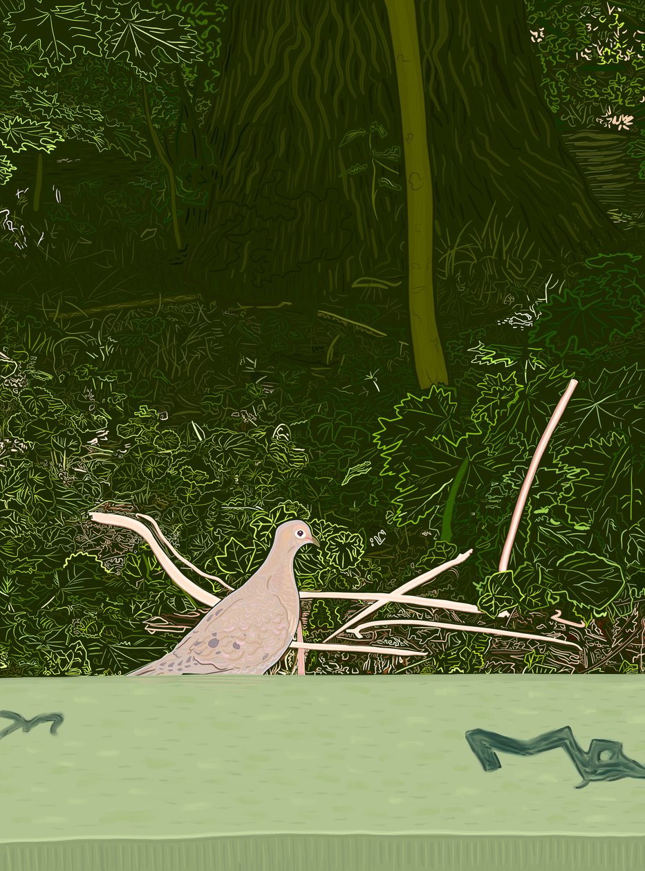 Paloma de luto en el muro de Prospect Park, c.2020-24 (arte digital) de Evan Sklar