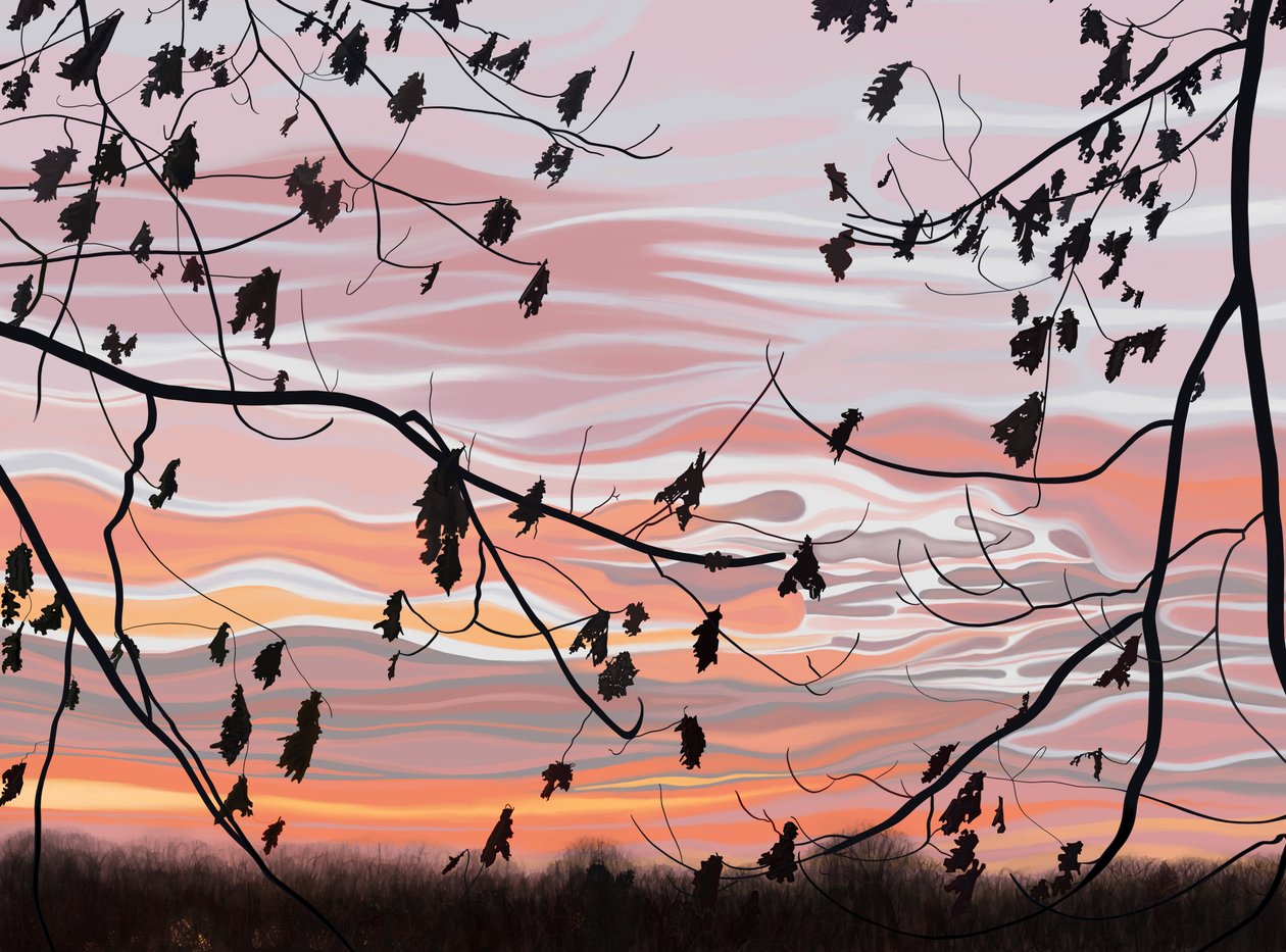 Hojas de roble y cielo, Brooklyn (arte digital) de Evan Sklar