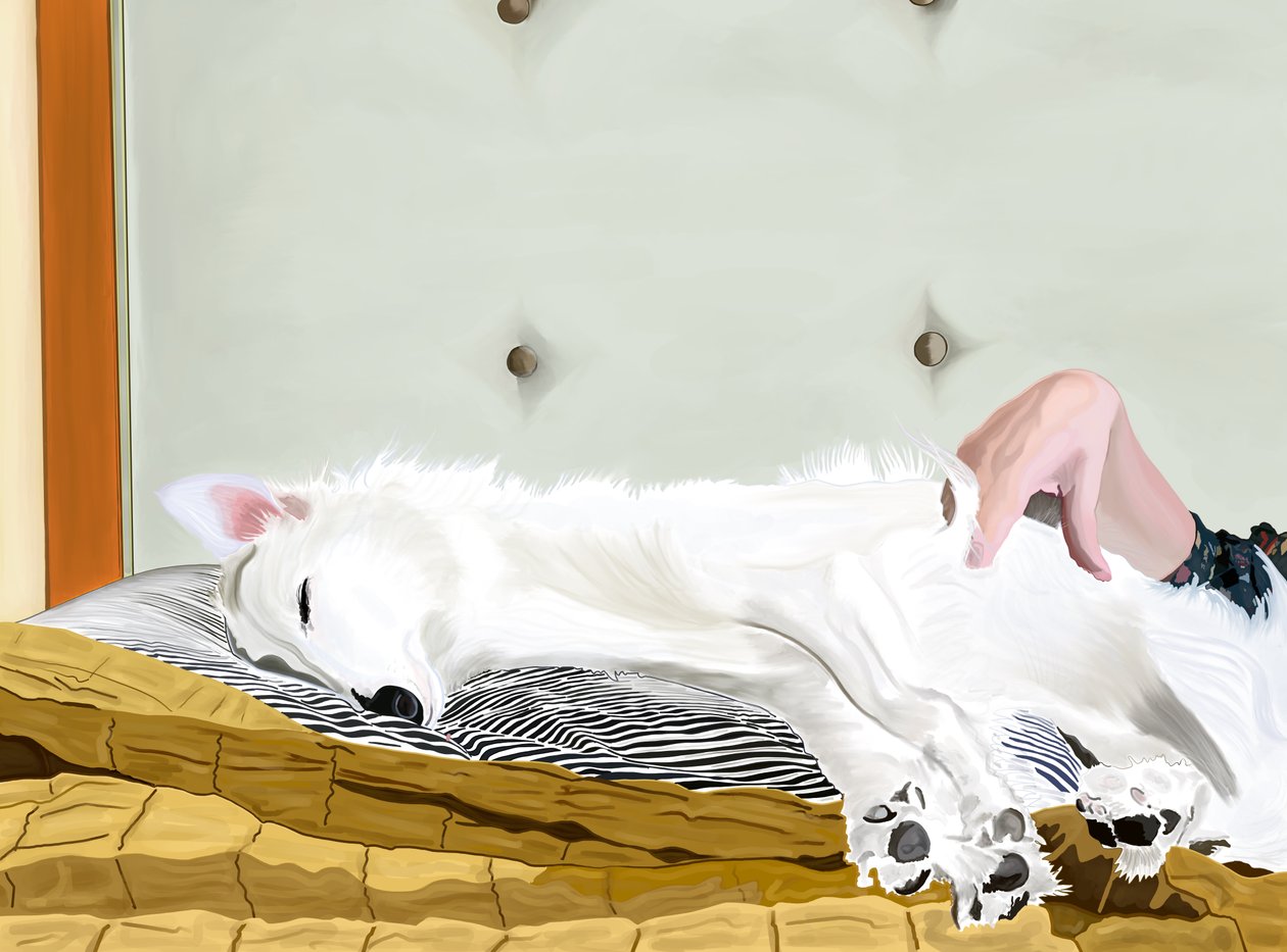 Penny On Yellow Comforter, Brooklyn (arte digital) de Evan Sklar