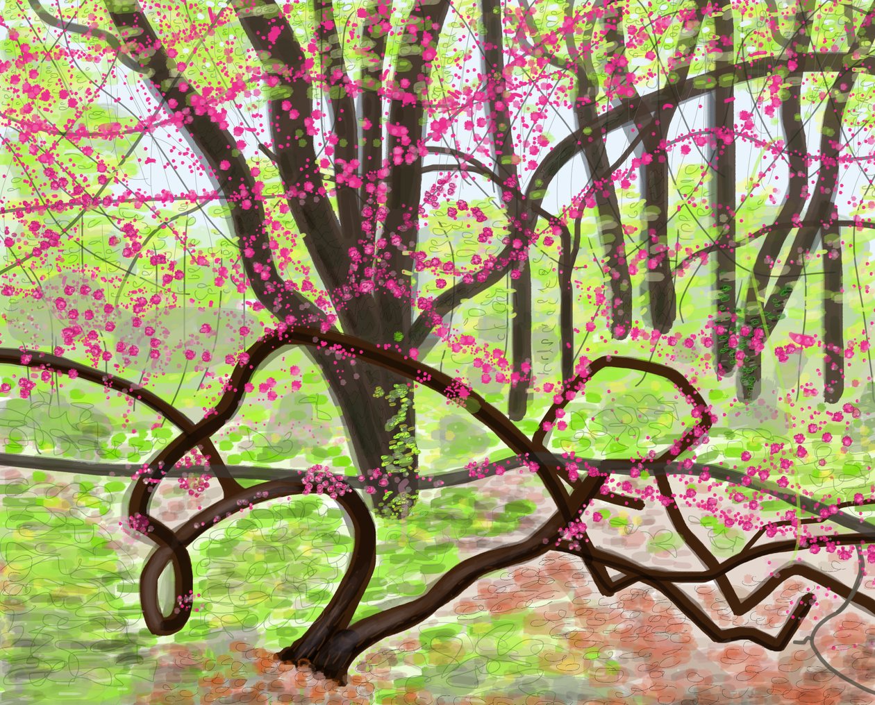Prospect Park, primavera, 2017 (dibujado a mano en un iPad con un lápiz Apple). de Evan Sklar