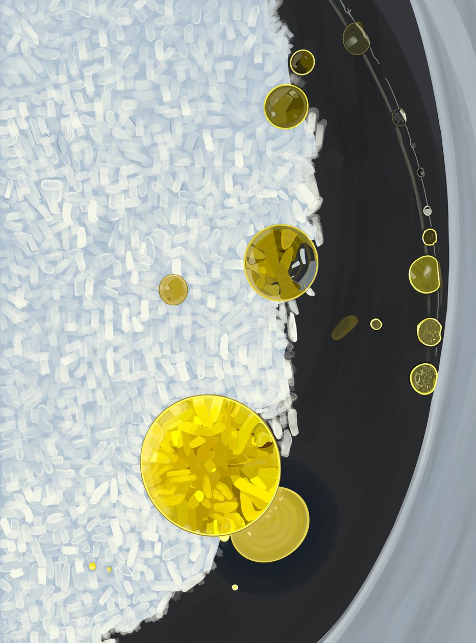 Arroz cocido en olla con gotas de aceite de oliva (arte digital) de Evan Sklar