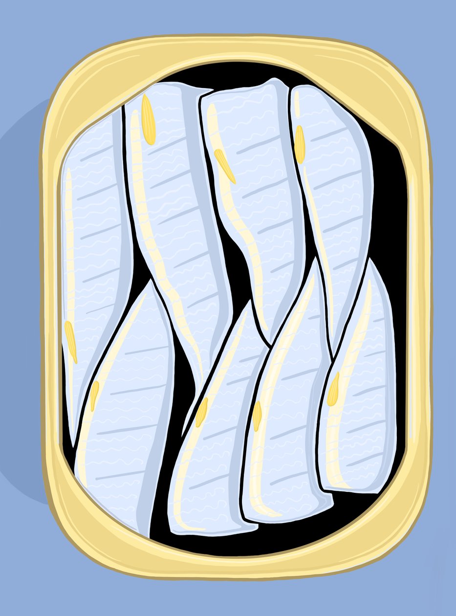 Sardinas, c.2020-24 (arte digital) de Evan Sklar