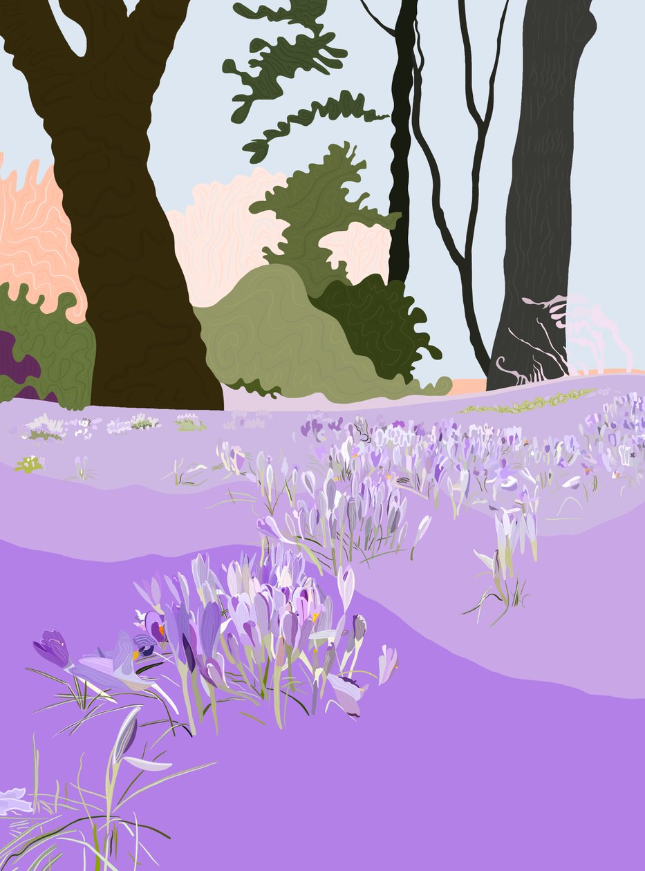 Azafrán de primavera (arte digital) de Evan Sklar