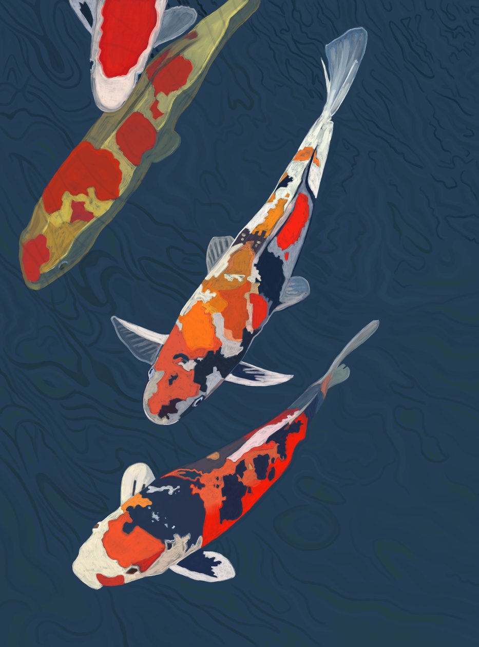 Tres Koi (arte digital) de Evan Sklar
