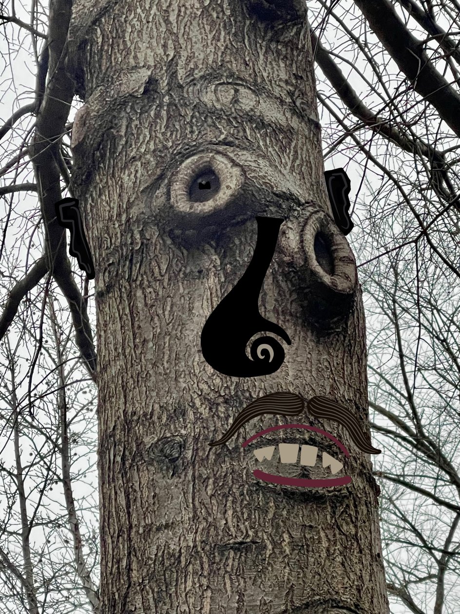 Cara de árbol , c.2020-24 (arte digital) de Evan Sklar